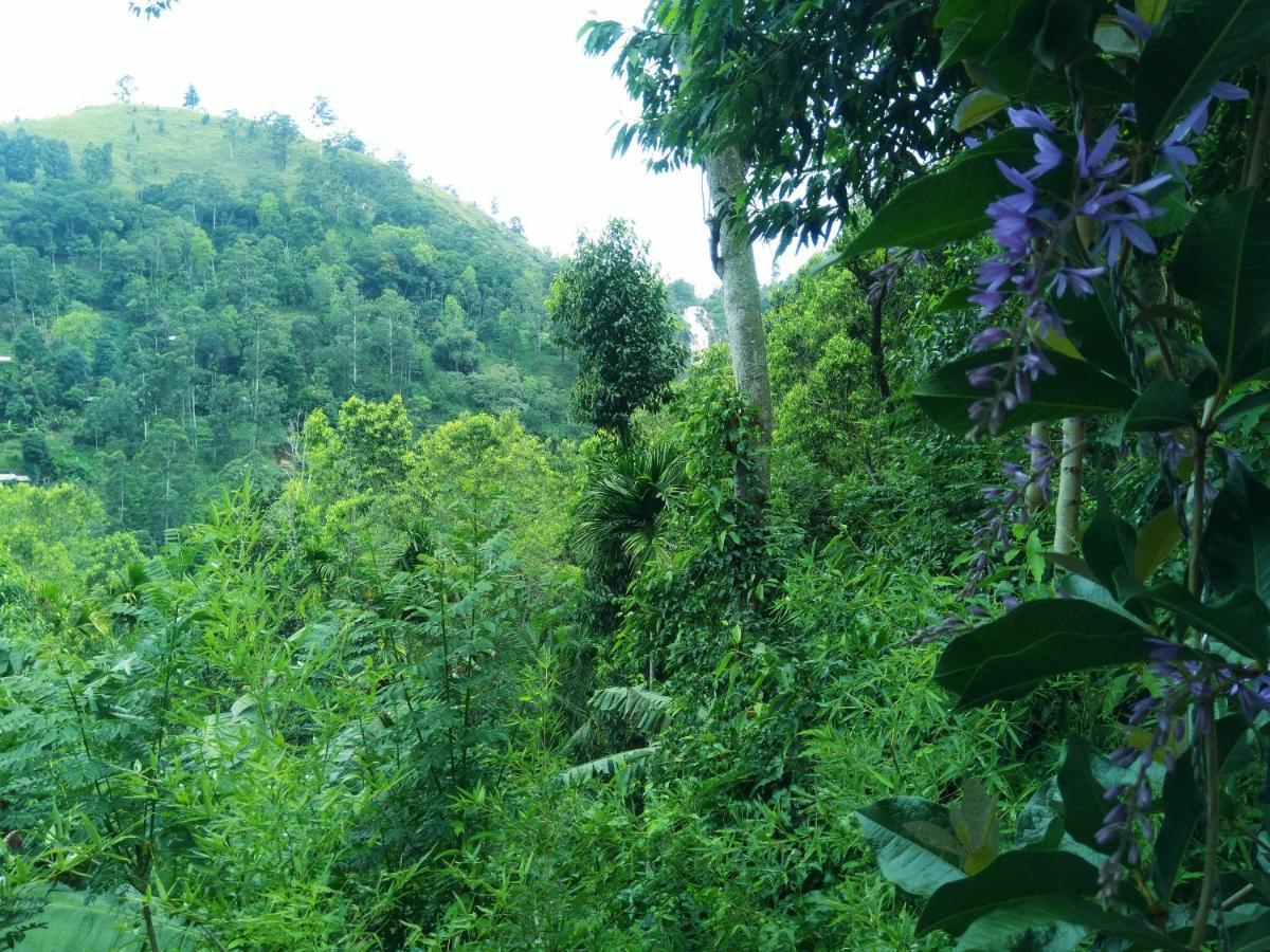 Ever Green Mount Ella Exterior foto